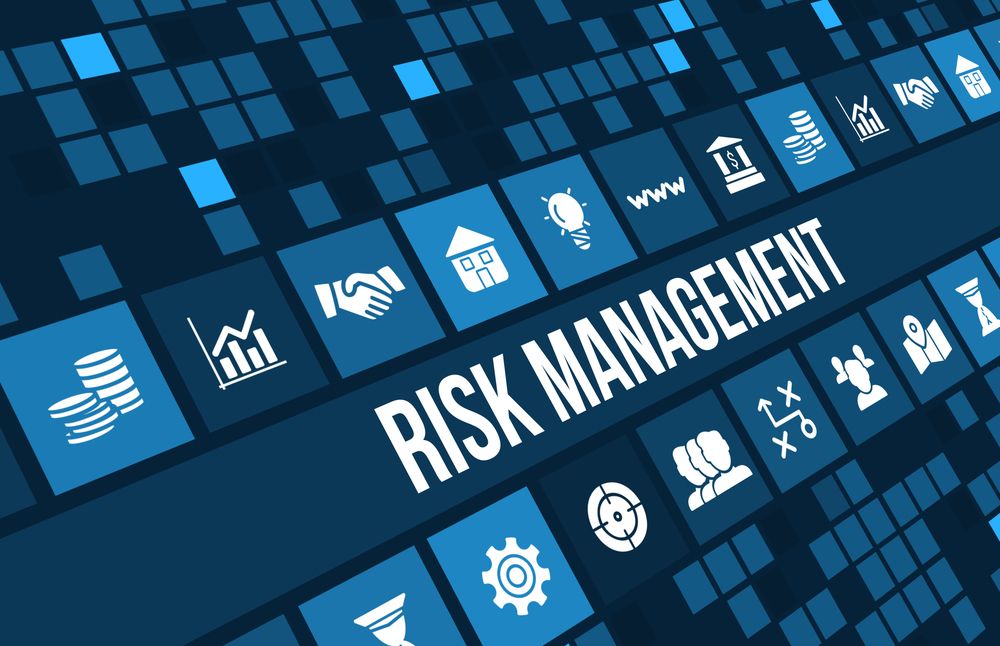 Risk Management for Business Growth